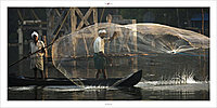 Фотография в интерьер: Заводи. Керала — Backwater. Kerala