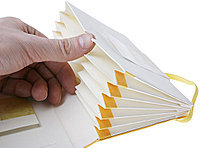 Книжка-портфель Moleskine Ван Гог – Карманная. Желтого цвета